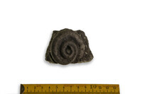 F 09339
<br/>
<br/>
<em></em>